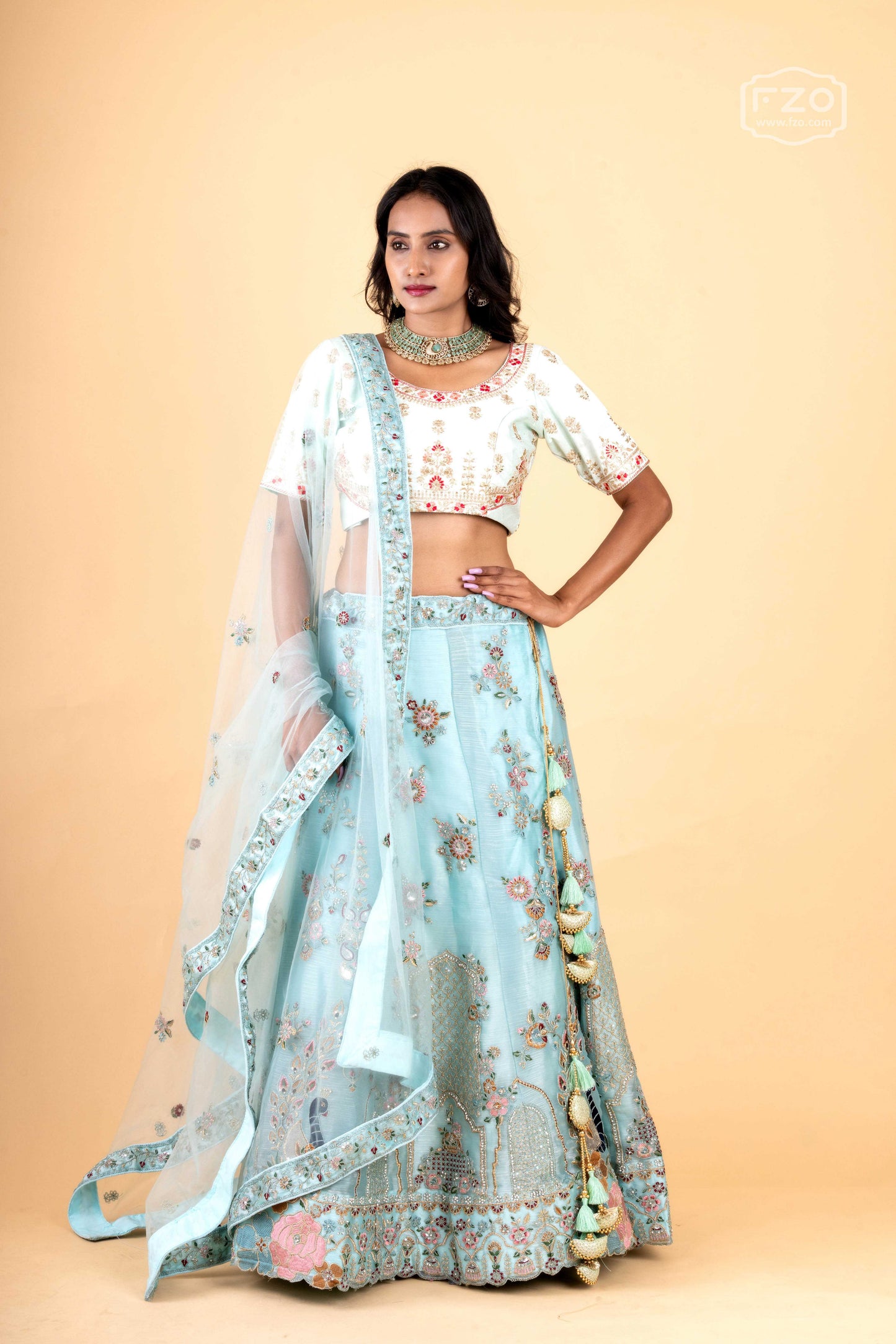 Celestial Charm – Powder Blue Embroidered Lehenga for Modern Brides