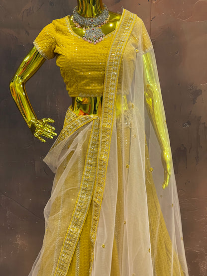 Golden Glow – Embroidered Lehenga Set