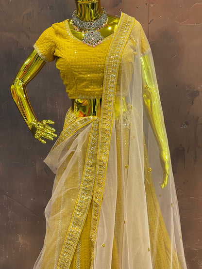 Golden Glow – Embroidered Lehenga Set