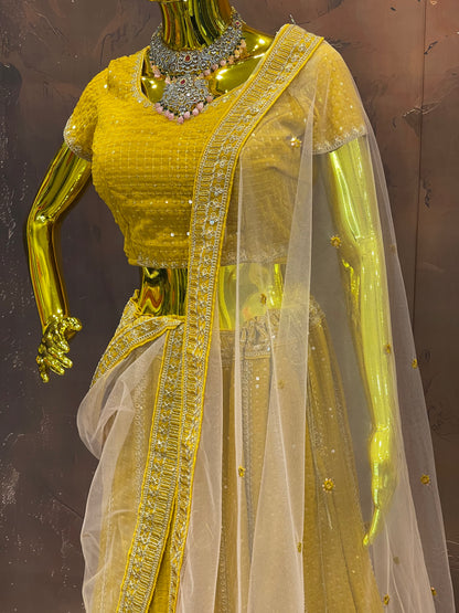 Golden Glow – Embroidered Lehenga Set