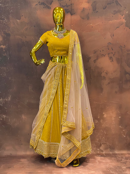 Golden Glow – Embroidered Lehenga Set