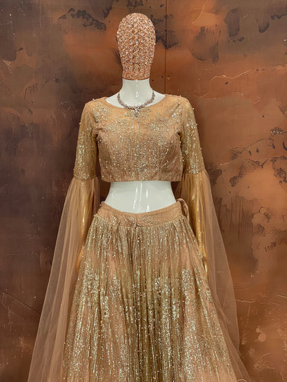 Golden Glow – Peach Net Embellished Lehenga Set
